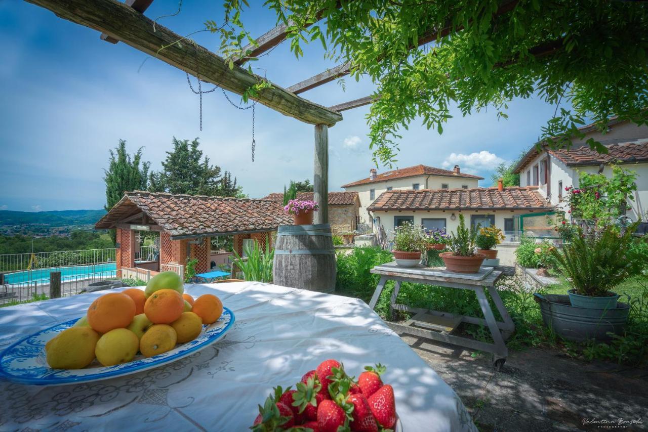 Agriturismo Corzano Barberino di Mugello Exterior photo